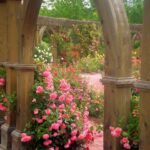 Untitled | Beautiful gardens, Garden inspiration, Beautiful ros