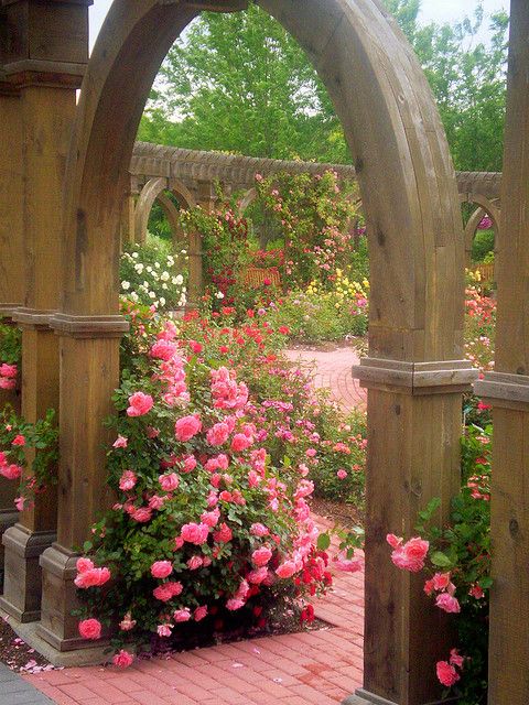 Untitled | Beautiful gardens, Garden inspiration, Beautiful ros