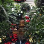 holiday spirit - District of Chic | Luxury garden, Gardens of the .