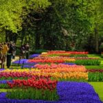 75 Best Botanical Gardens ideas | botanical gardens, botanical .