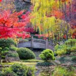 8 Most Beautiful Botanical Gardens in Japan | Beautiful gardens .