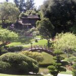 The Garden Club of America | Garden club, Busch gardens .