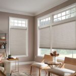 Insulating and gorgeous. | Honeycomb shades, Blinds, Cellular shad