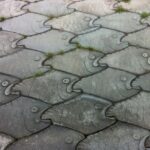 Interlocking fish! | Yard Art | Pinterest | Fish, Cement Pavers .