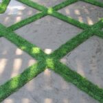 Grass Between Pavers Design Ideas, Pictures, Remodel and Decor .