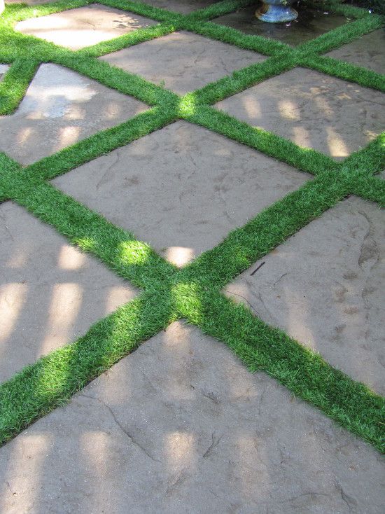 Grass Between Pavers Design Ideas, Pictures, Remodel and Decor .