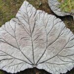 Make a concrete leaf | Easy backyard diy, Concrete leaves, Easy .