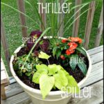 Pinterest Home Gardening | dear emerson: Earth Day Mini Garden .