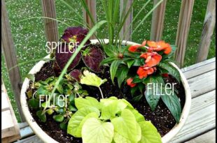 Pinterest Home Gardening | dear emerson: Earth Day Mini Garden .