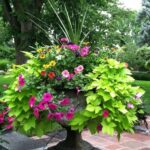 36 Container Garden Ideas to Inspire Your Own Pretty Plantings .