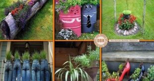 DIY Gardening Ideas | Garden projects, Diy garden, Backyard gard