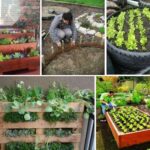 13 Creative DIY Solutions for Raised Garden Beds - WebEcoist .