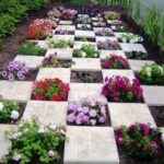 15 Striking Petunia Centerpiece Ideas for Garden Design and Yard .
