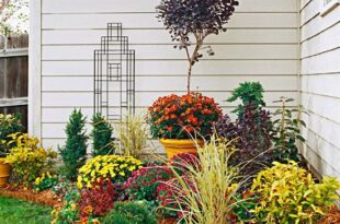 Know These Garden Basics and You'll Have the Best Garden on the .