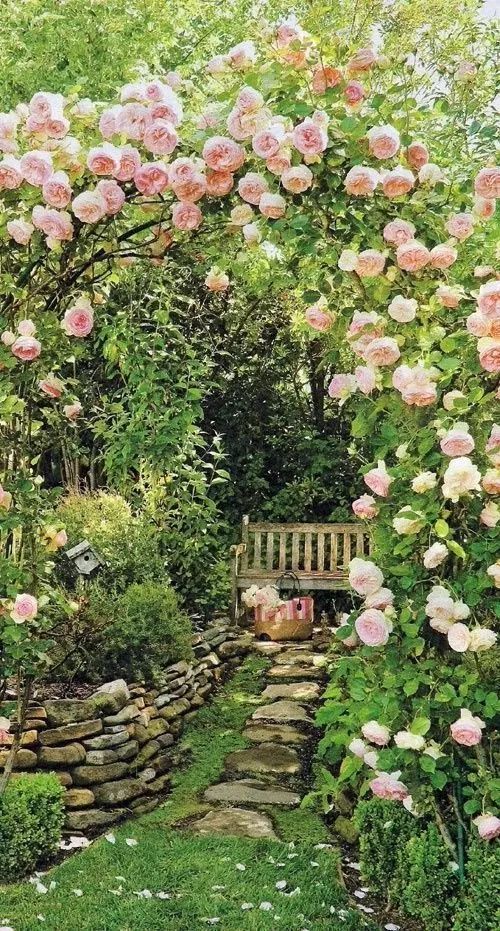 Gardens of My Dreams | Romantic Backyard Garden Ideas | Cottage .