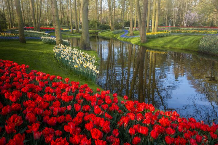 The Most Beautiful Flower Garden In The World Has No Visitors For .