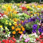 Flower Garden | Flower garden pictures, Beautiful flowers garden .
