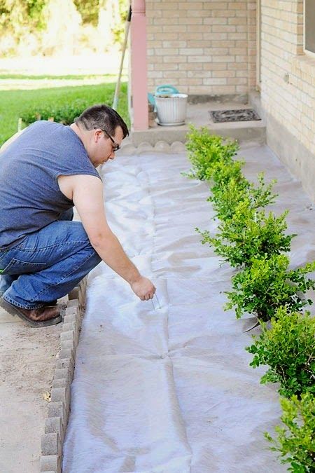 DIY Landscaping to Boost Curb Appeal | Landscaping tutorials, Diy .