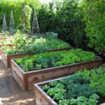 160 Best Raised Garden Beds ideas | garden beds, raised garden .