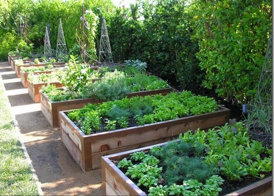 160 Best Raised Garden Beds ideas | garden beds, raised garden .