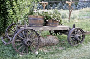 14 Rustic Garden Wagon Ideas For A Country Garden - Garden Lovers .