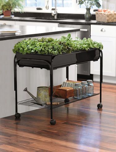 Indoor Planters: Mobile Salad Garden | Gardener's Supply | Hortas .
