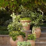 Home Decor and Entertaining Pins | Tuscan garden, Garden .