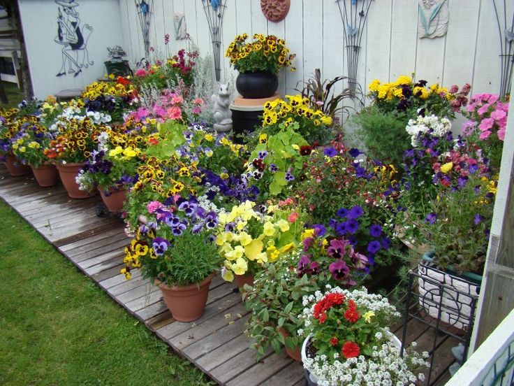 PHOTOS: 10 Pretty Container Garden Ideas | Garden containers .