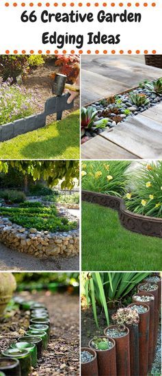 10 Low-Maintenance Perennials - Western Garden Centers | Garden .