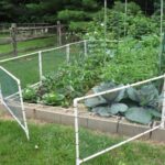 How to build a garden | Fenced vegetable garden, Plastic garden .