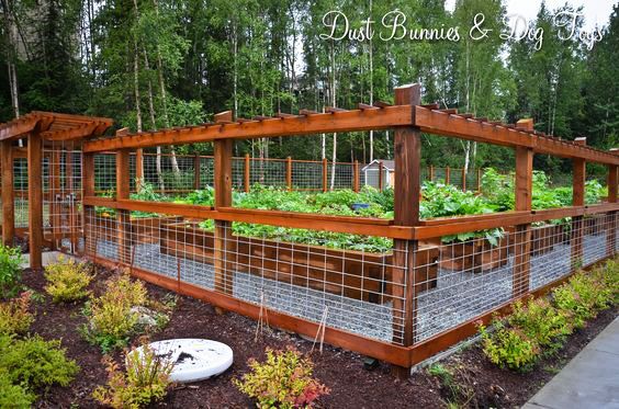 9 Super Easy DIY Garden Fence Ideas | Diy garden fence, Garden .