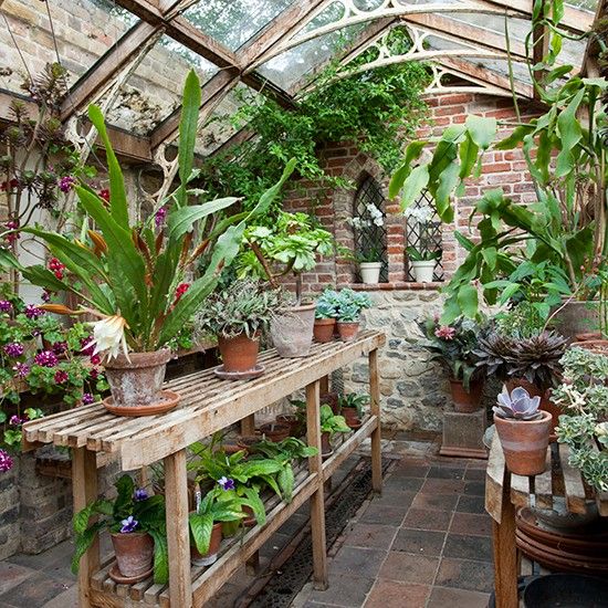 Country garden greenhouse | Classic garden, Greenhouse gardening .