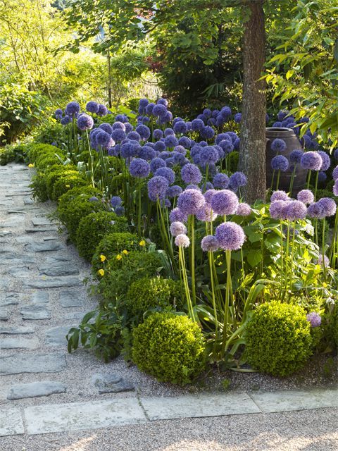 A French Jewel: Thomas Alexandre's Garden | Tuin, Tuin ideeën .