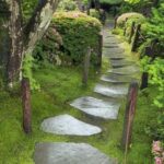 40+ Brilliant ideas for stone pathways in your garden | Garden .