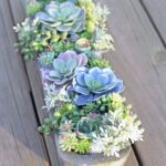 How to Make the Perfect DIY Artificial Succulent Arrangement .