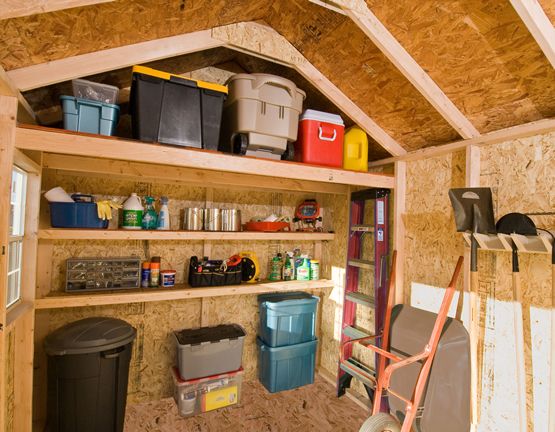 The Dos and Dont's of Shed Organization | Storage shed .