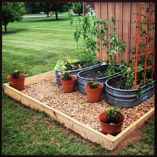 Recycled horse water troughs for raised garden beds | Garden .