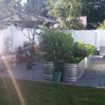Water trough garden. | Garden troughs, Plants, Water trou