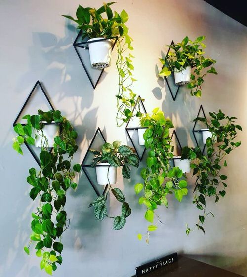 28 Plant Wall Art Ideas for Home Décor | Wall plants indoor .