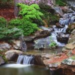 Garvan Woodland Gardens | Waterfalls backyard, Garden waterfall .