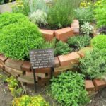How to plant spiral herbal gardens correctly - list with suitable .
