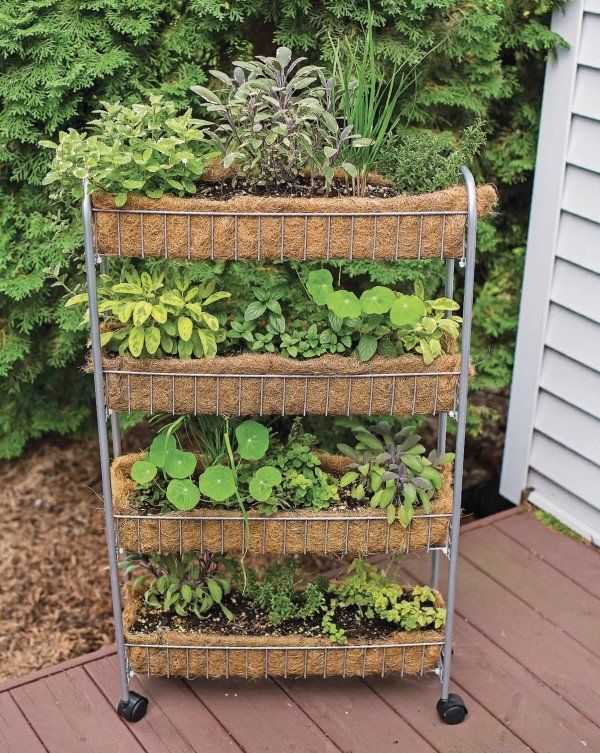 Clever Vertical Herb Gardens That Will Grow a LOT of Herbs in a .