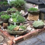 Creative Garden Container Ideas * You can get more details by .