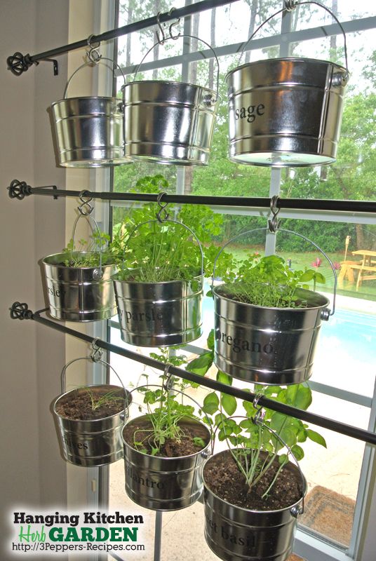 Hanging Kitchen Herb Garden | Indoor herb garden, Herb garden in .