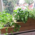 Indoor Herb Garden Planter Window Box Pots Holder Rustic | Etsy UK .