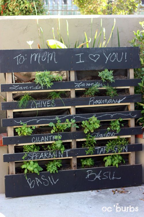 A Tasty Collection of DIY Herb Gardens - The Cottage Market | Herb .