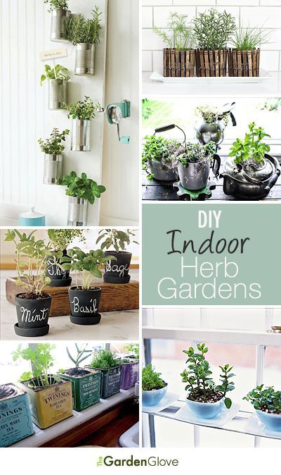 DIY Indoor Herb Gardens • Great Ideas & Tutorials! - http .