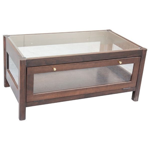 Annes Coffee Table Display Case from DutchCrafters Amish Furnitu