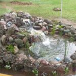 Out front | Garden pond design, Waterfalls backyard, Pond landscapi