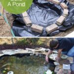 How to Build a Pond Easily, Cheaply and Beautifully | Ponds .